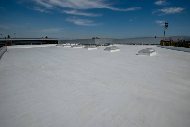 Best EPDM Roofing  in Scobey, MT