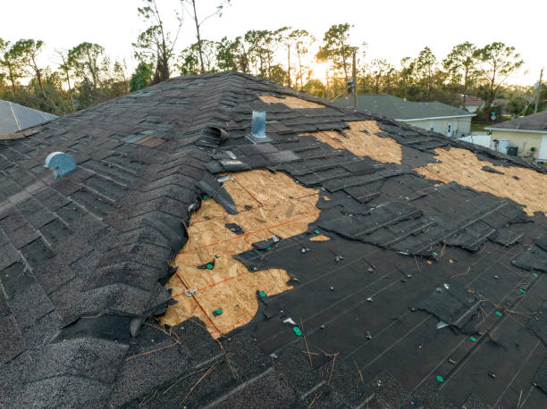 Best Slate Roofing  in Scobey, MT