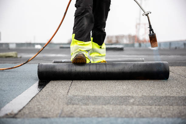 Best Green or Eco-Friendly Roofing Solutions  in Scobey, MT